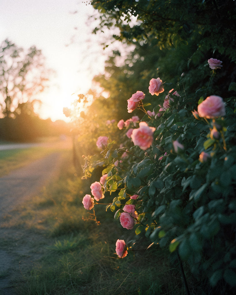 Full Moon Update - May 5th, 2023