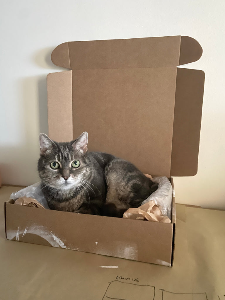 Full Moon Update - June 3rd, 2023