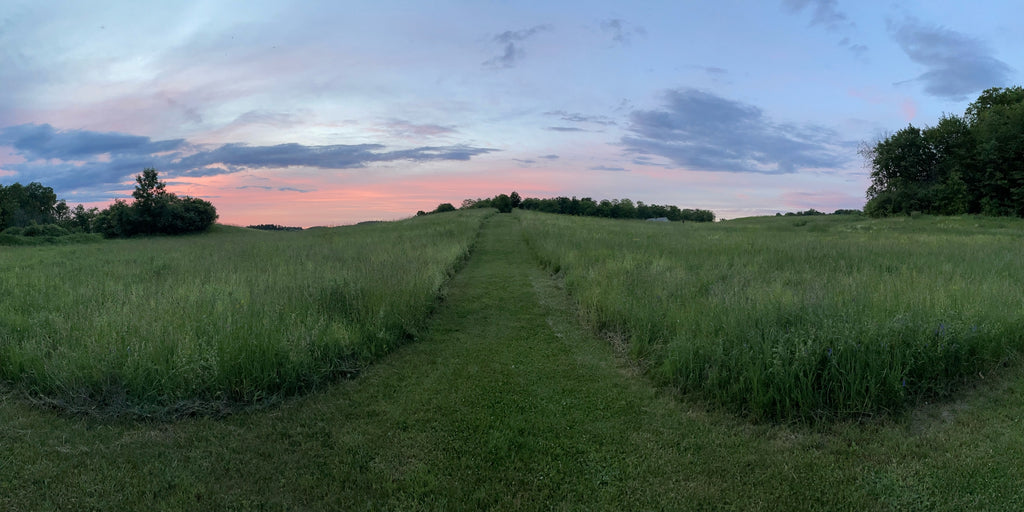 Full Moon Update - June 14, 2022