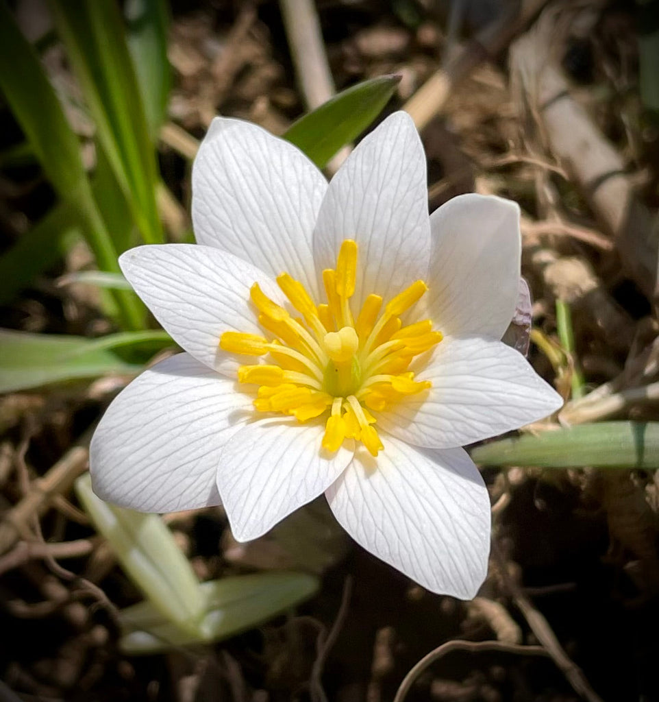 Full Moon Update - April 16th, 2022