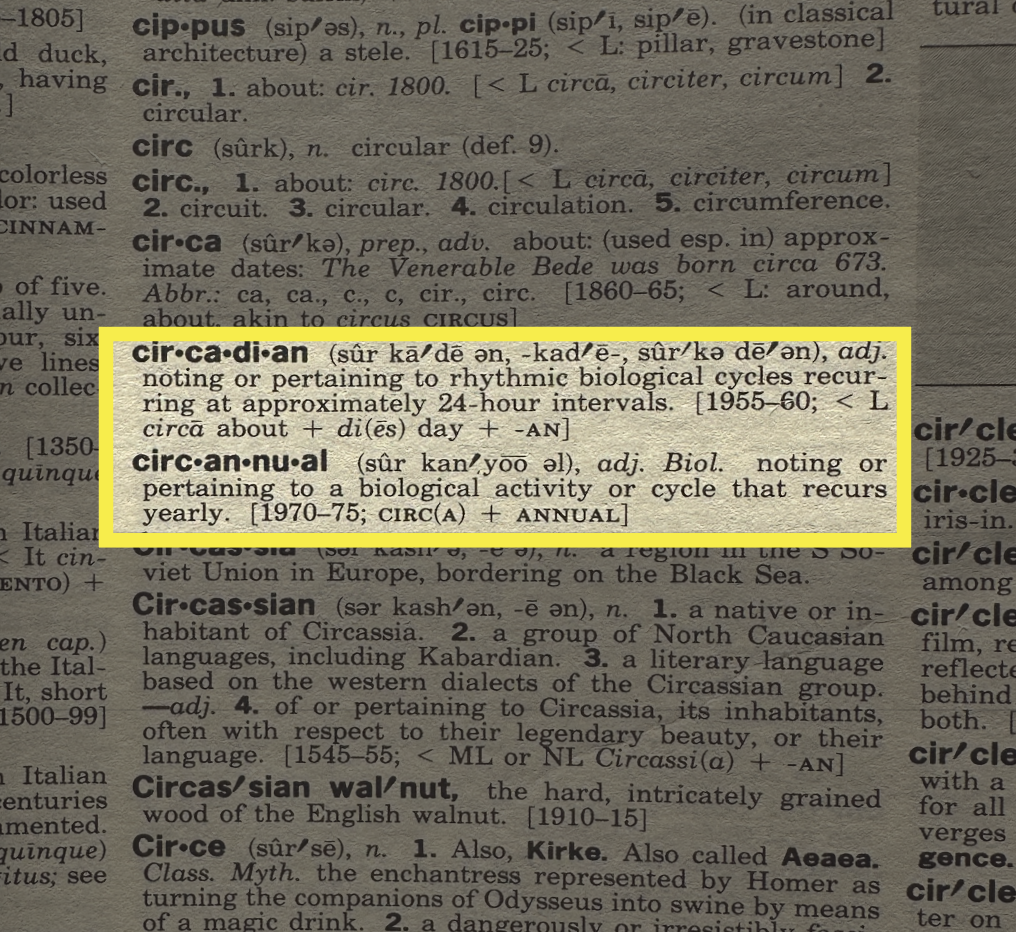 The Circannual Rhythm (Working Paper)